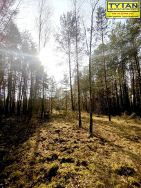 Działka Sprzedaż Olszewo