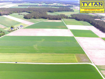 Działka Sprzedaż Czerwone
