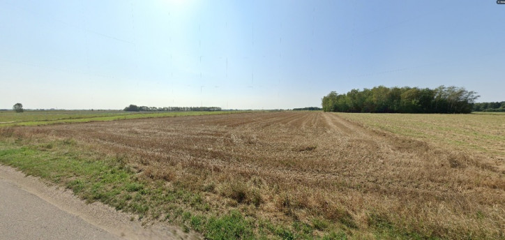 Działka Sprzedaż Nowe Zakrzewo 8