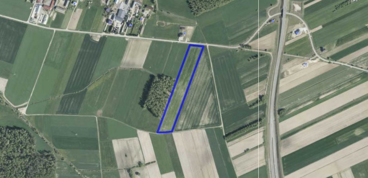 Działka Sprzedaż Nowe Zakrzewo 11