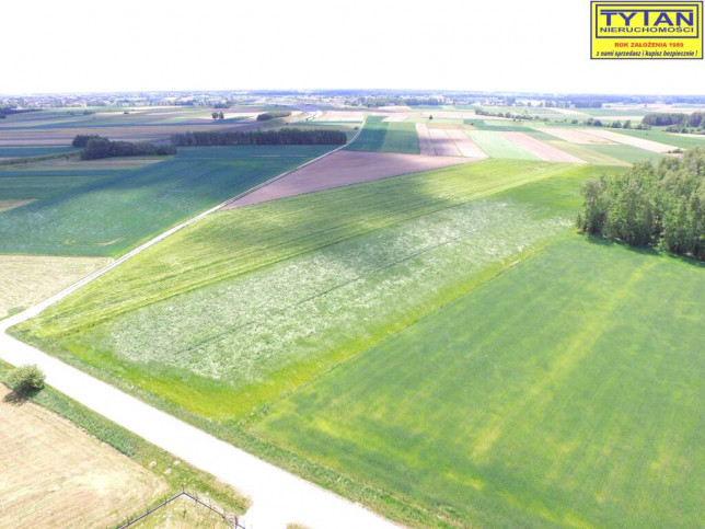 Działka Sprzedaż Nowe Zakrzewo 5