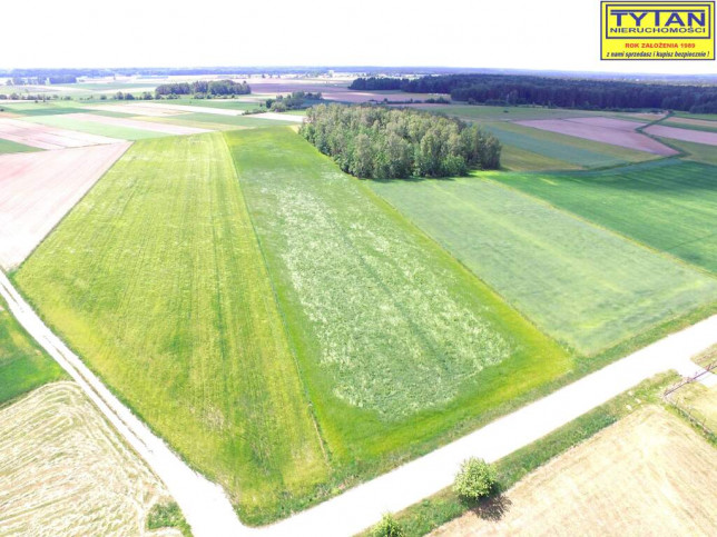 Działka Sprzedaż Nowe Zakrzewo 7