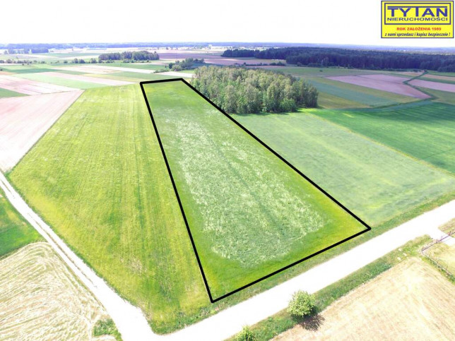 Działka Sprzedaż Nowe Zakrzewo 1